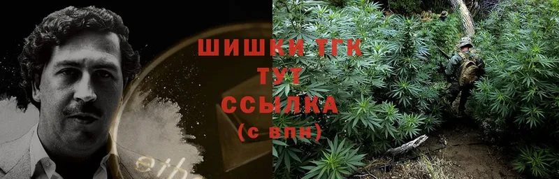 Канабис LSD WEED  где купить   Магадан 